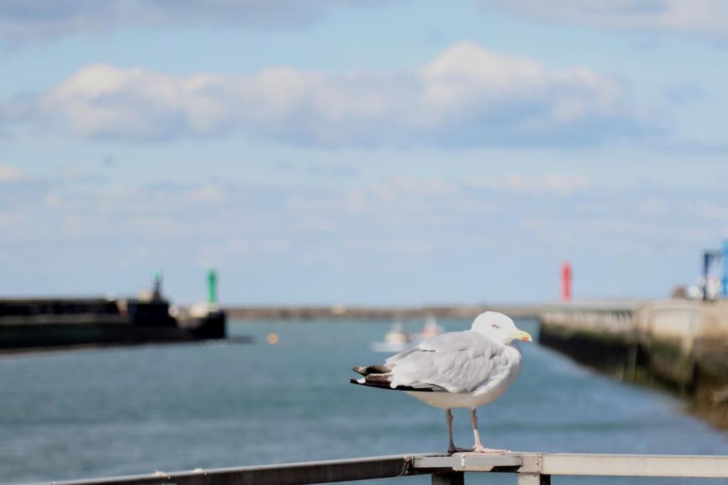 Studio-Cosy 11 Vue Port A Deux Pas De Nausicaa Boulogne-sur-Mer Dış mekan fotoğraf
